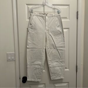 Everlane Utility Barrel Pant